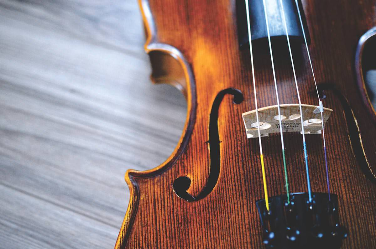 online violin lessons prices